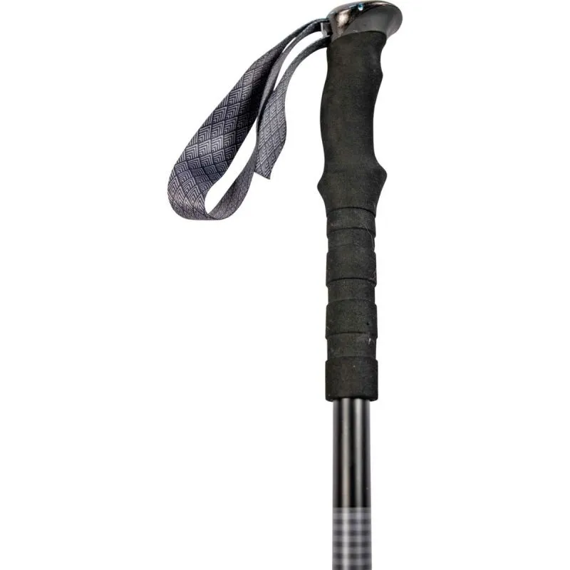 Bastones telescópicos de splitboard Nitro