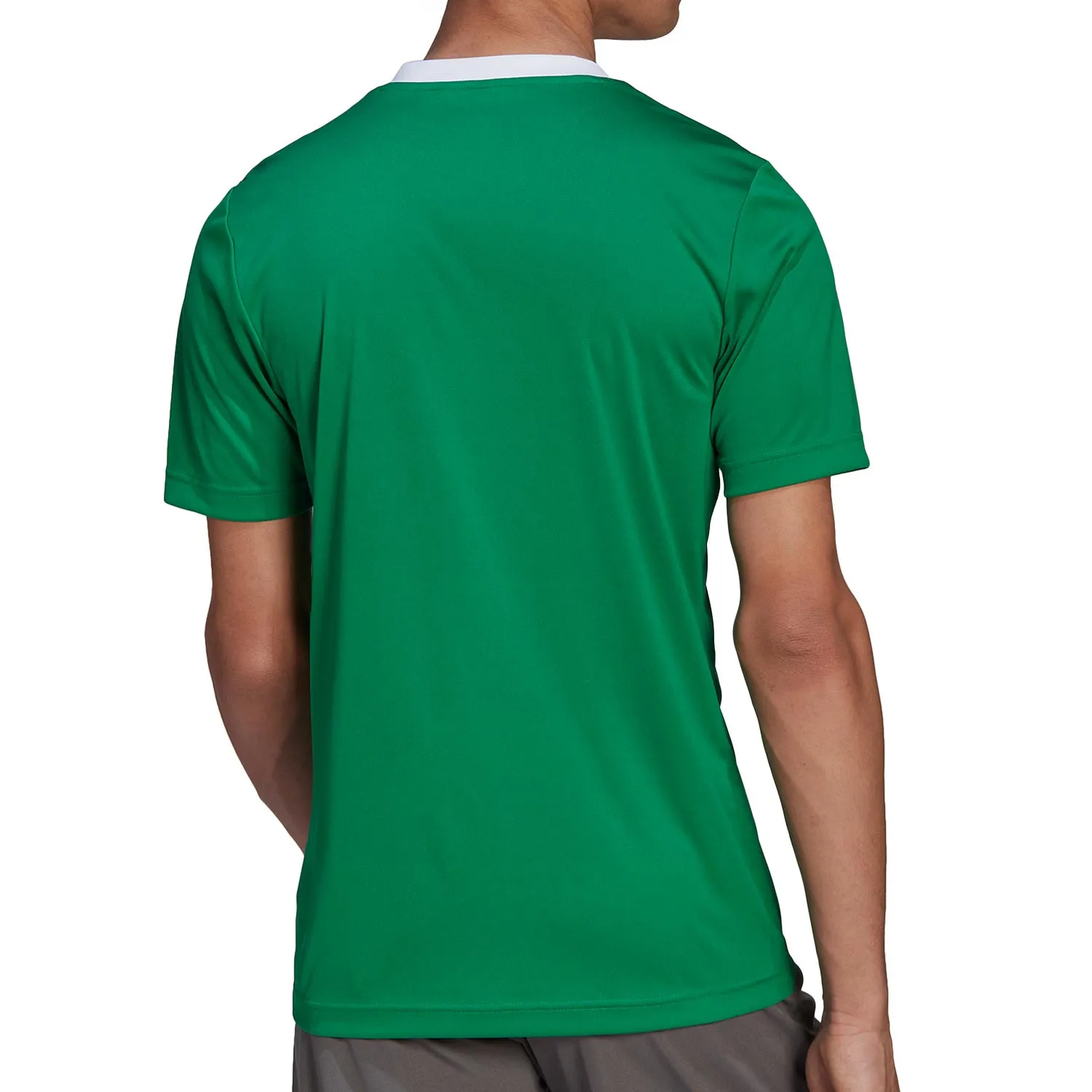 Camiseta adidas Entrada 22