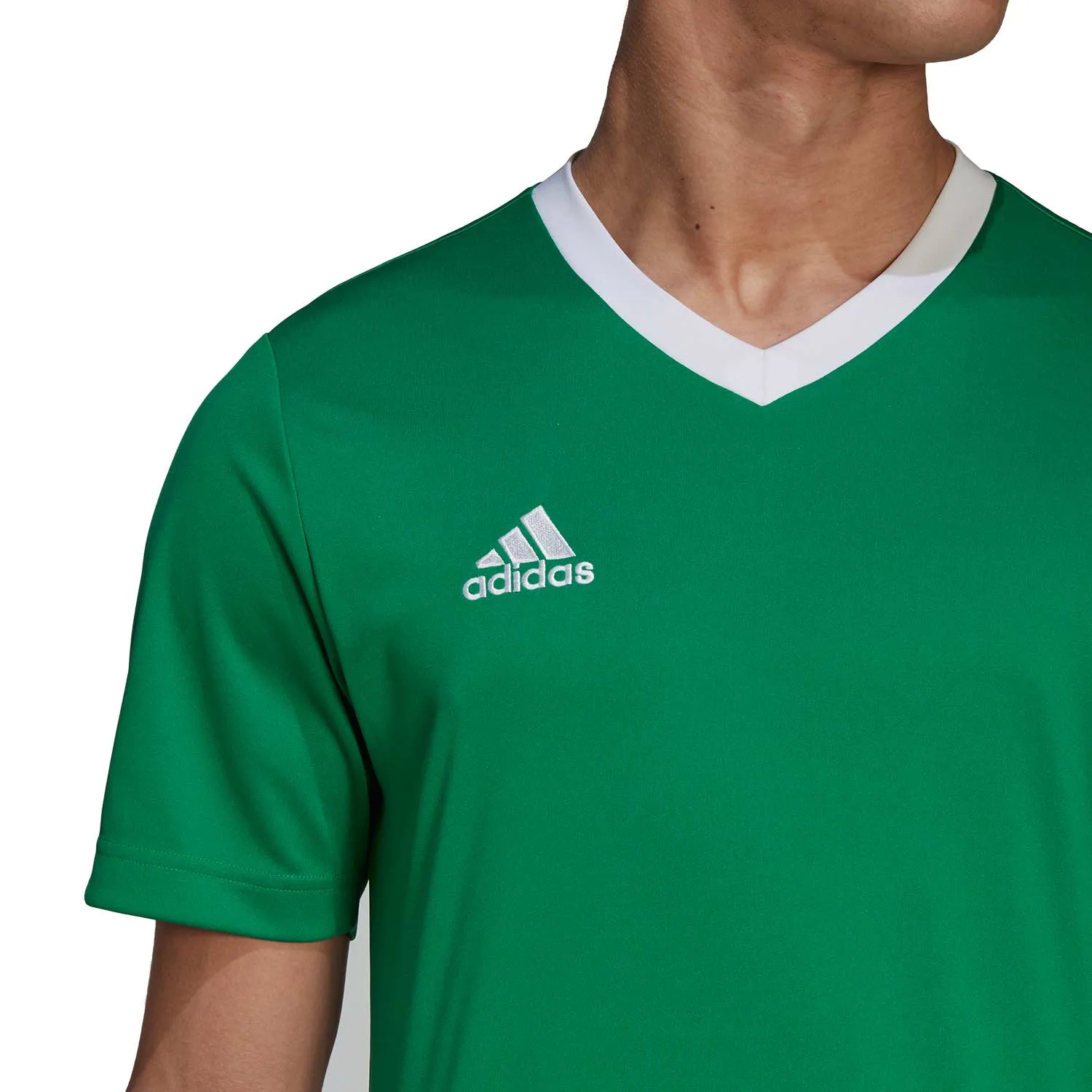 Camiseta adidas Entrada 22