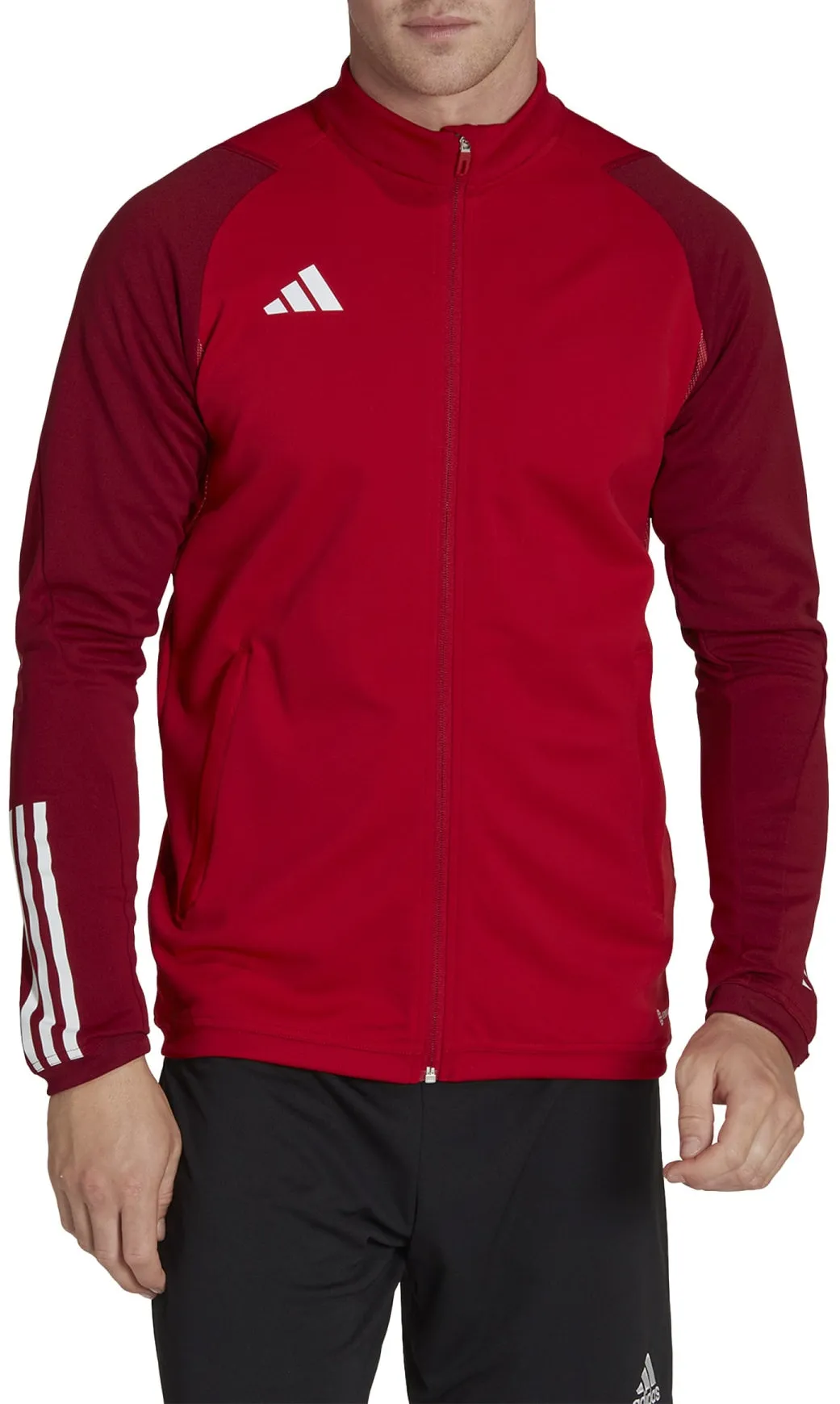Chaqueta adidas TIRO23 C TR JKT