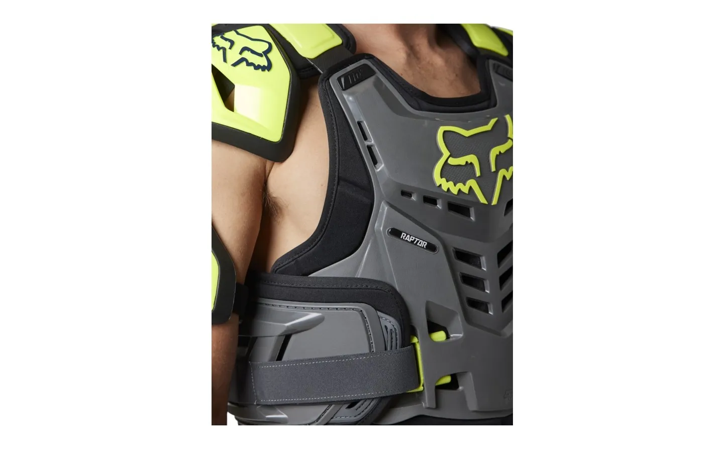 PETO FOX RAPTOR VERDE GRIS |24814330|
