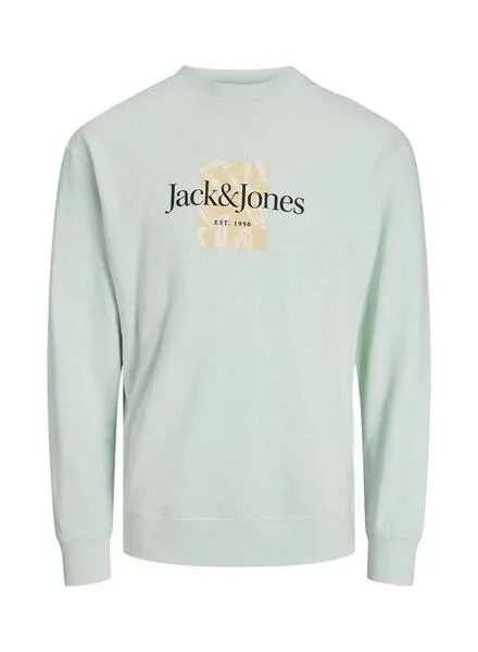 Sudadera Jack And Jones Fayette Celeste Para Niño